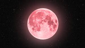 The Enchanting Strawberry Moon of 2025: A Celestial Delight